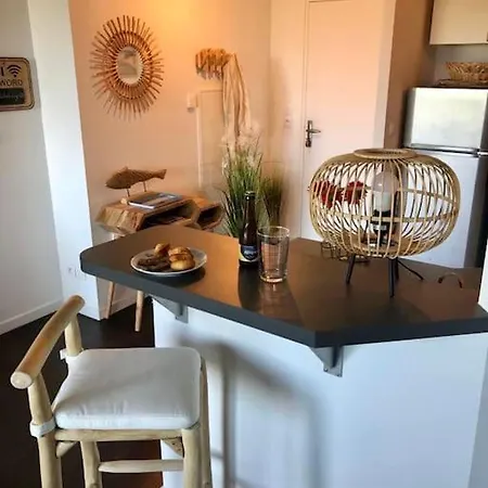 T3 Duplex Port De Bassin D Arcachon Apartamento